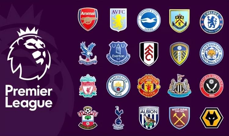 对球迷行为 对球迷行为